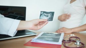 perkembangan janin dalam rahim