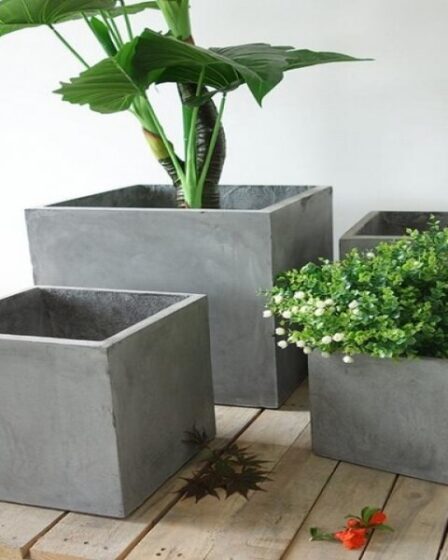 pot bunga minimalis dari beton